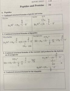 REPORT SHEET LAB Peptides and Proteins 34 A. Peptides 1. Condensed structural formulas of glycine and serine Glycine H3N+ - (CH2 - C - O) Serine H3N+ - (CH - C - O) 2. Condensed structural formulas of dipeptides Glycylserine H3N+ - (CH2 - C - N - H - C - O) Serylglycine NH3+ - HO - (CH2 - C - N - H - C - O) 3. Condensed structural formulas of the reactants and products for the hydrolysis of serylglycine NH3+ HO - (CH2 - C - N - H - C - O) → H2O H3N+ - (CH2 - C - O) + 4. Condensed structural formula for the tripeptide ___